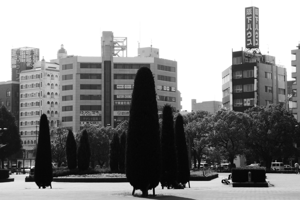 なんの変哲もない日常
