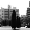 なんの変哲もない日常