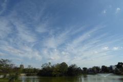 秋空 (2)