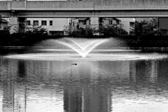 噴水・in