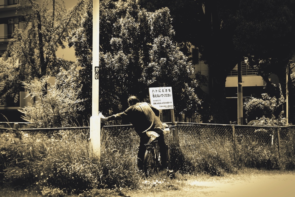 P1340924