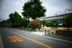 P1010636