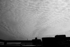 秋の雲