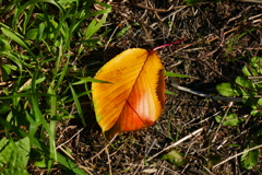P1070041