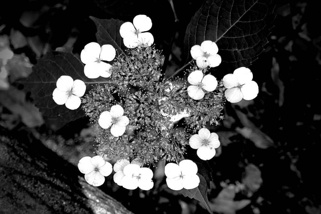 P1280846