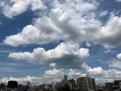 メモリ内掃除 