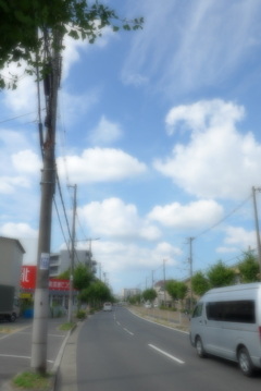ソフトフォーカス過剰 (4)