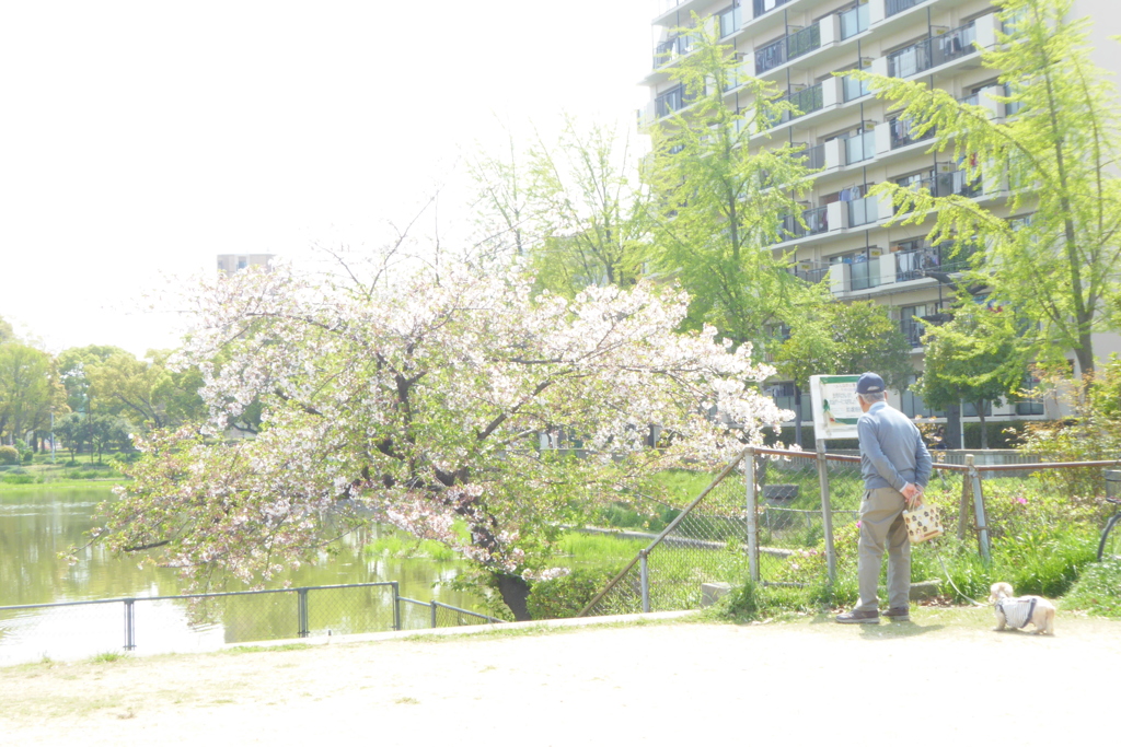 だぁ～れも　見向きもしなくなった！　