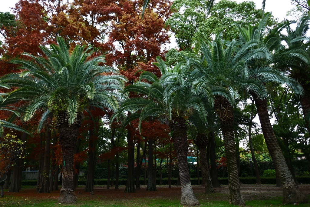 P1160549