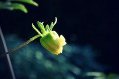 P1300315