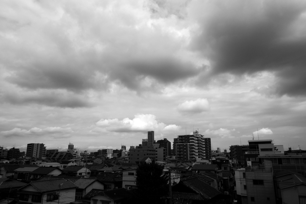 P1020123
