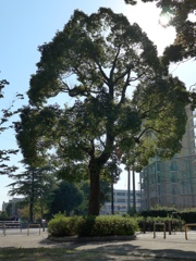 P1400490