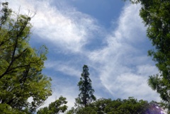 P1380941