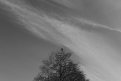 P1170791