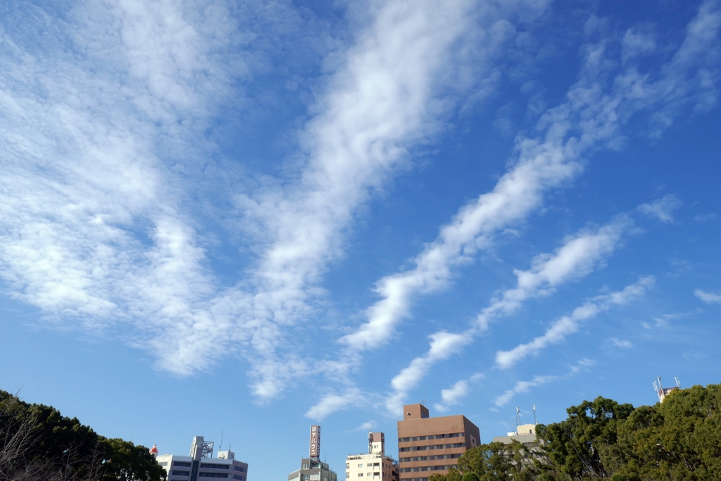 P1080548