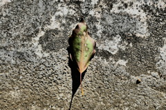 P1070033