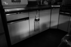 P1200548