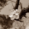 P1180025
