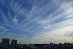 P1290695