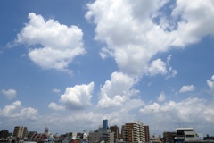 P1010165