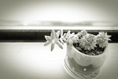 P1190240