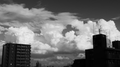 P1220955