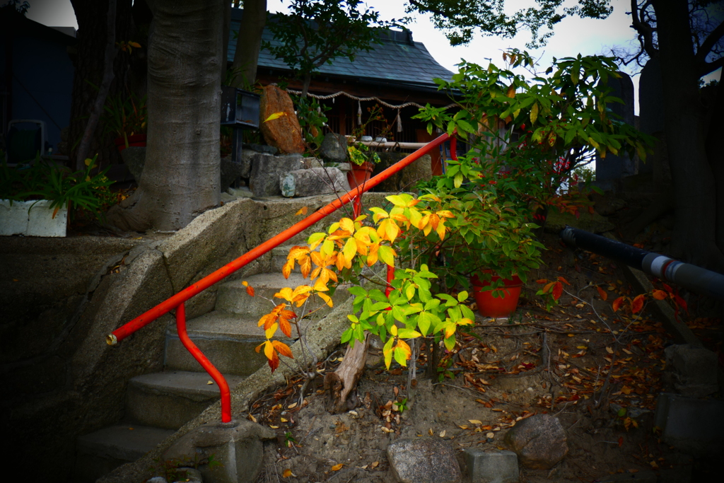P1070185