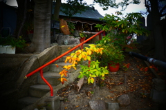 P1070185