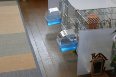 1ルームプール付