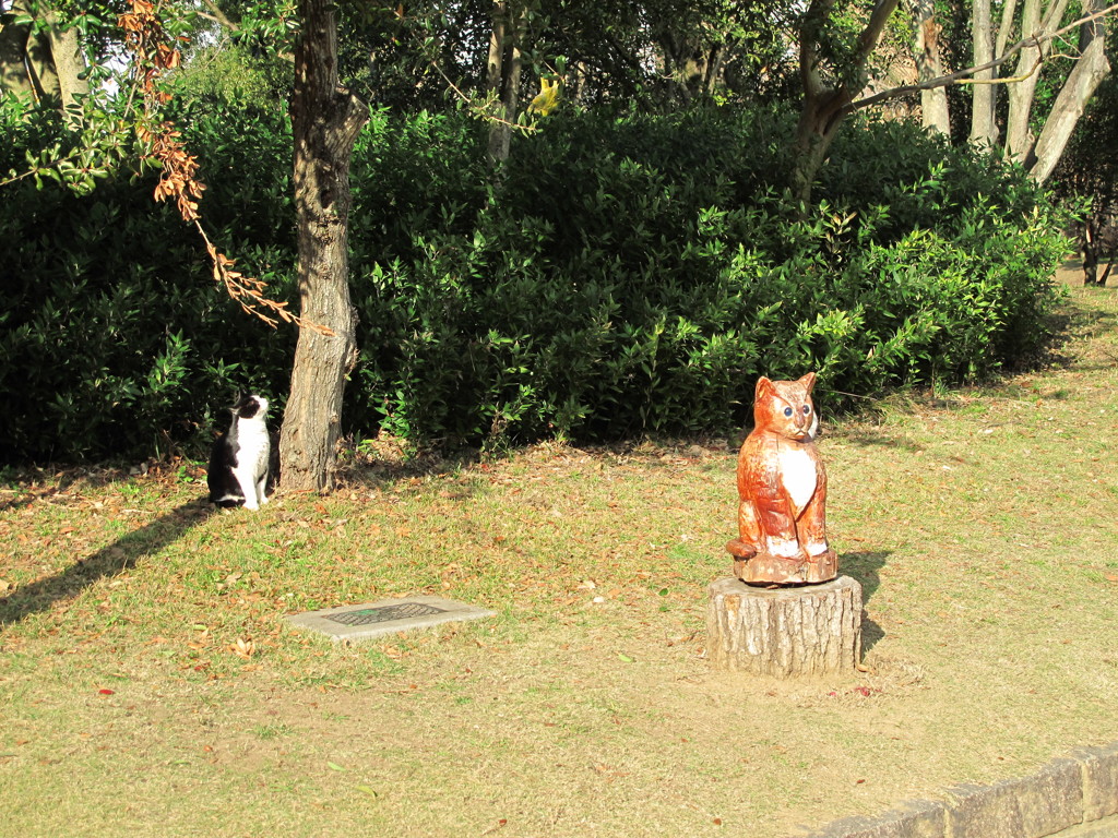 ねこ＆ネコ