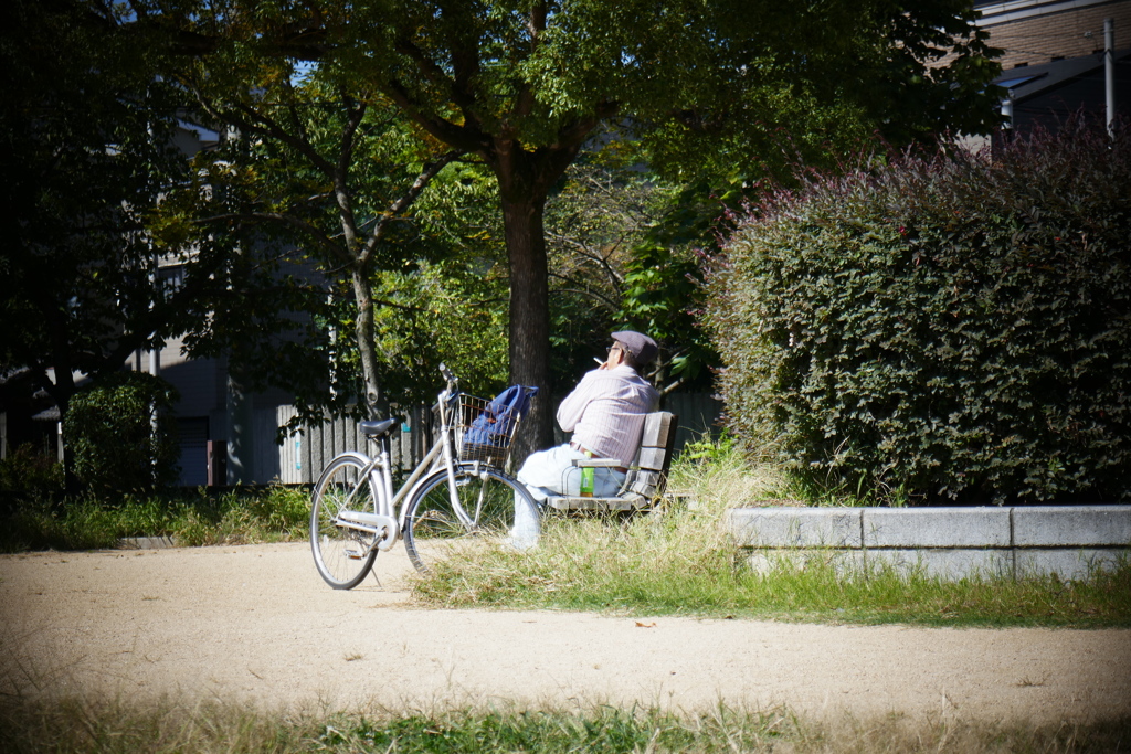 P1050494