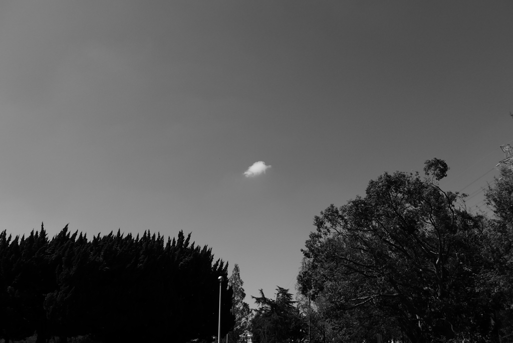 ちっこいのひとつ