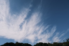 DSCF3000