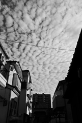 秋空 (4)