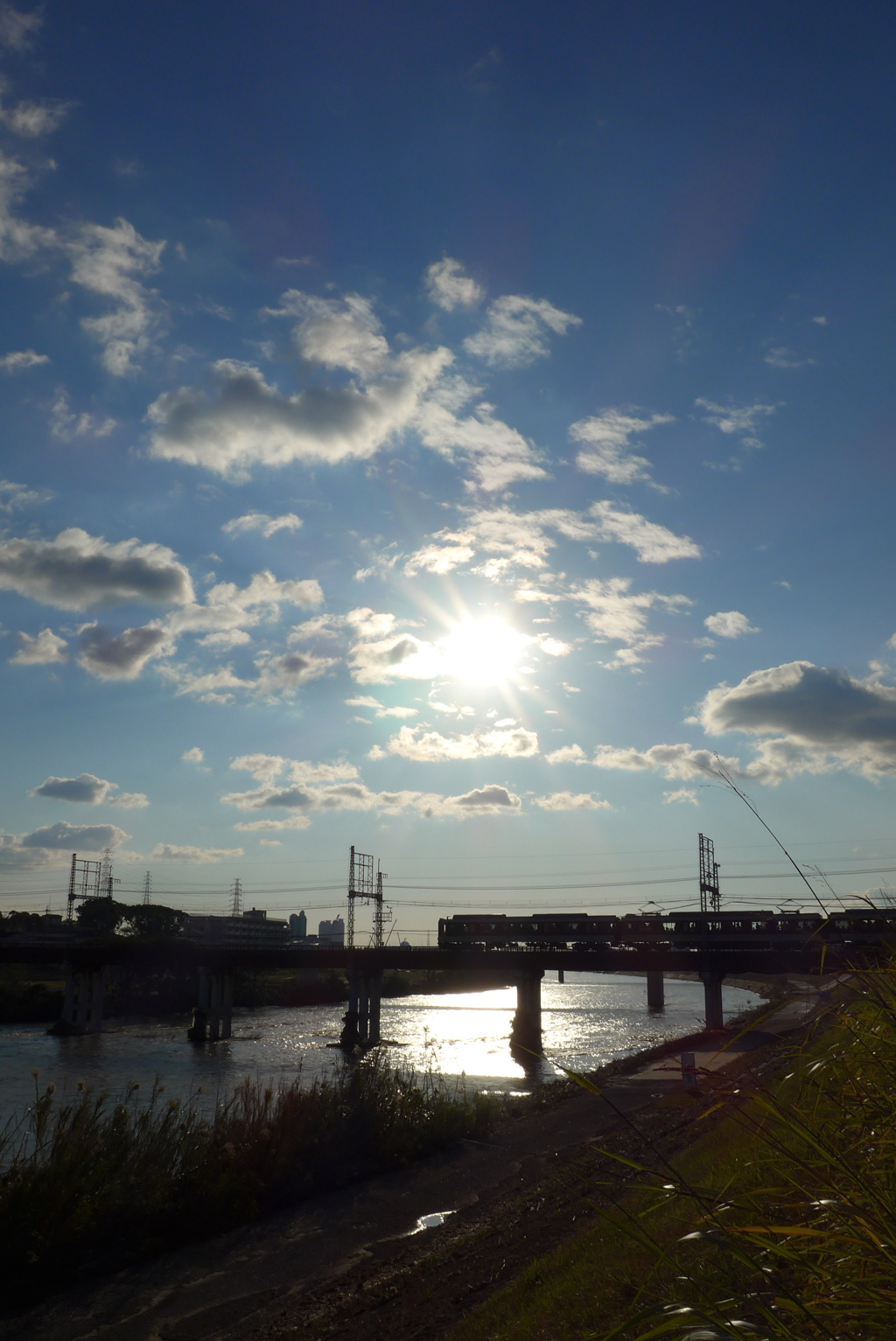 平和な日常だな 