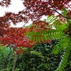 P1000497