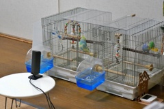 見守りカメラ