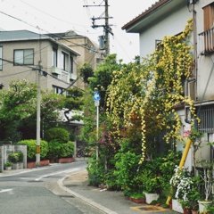 P1190732