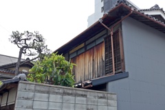 P1350668