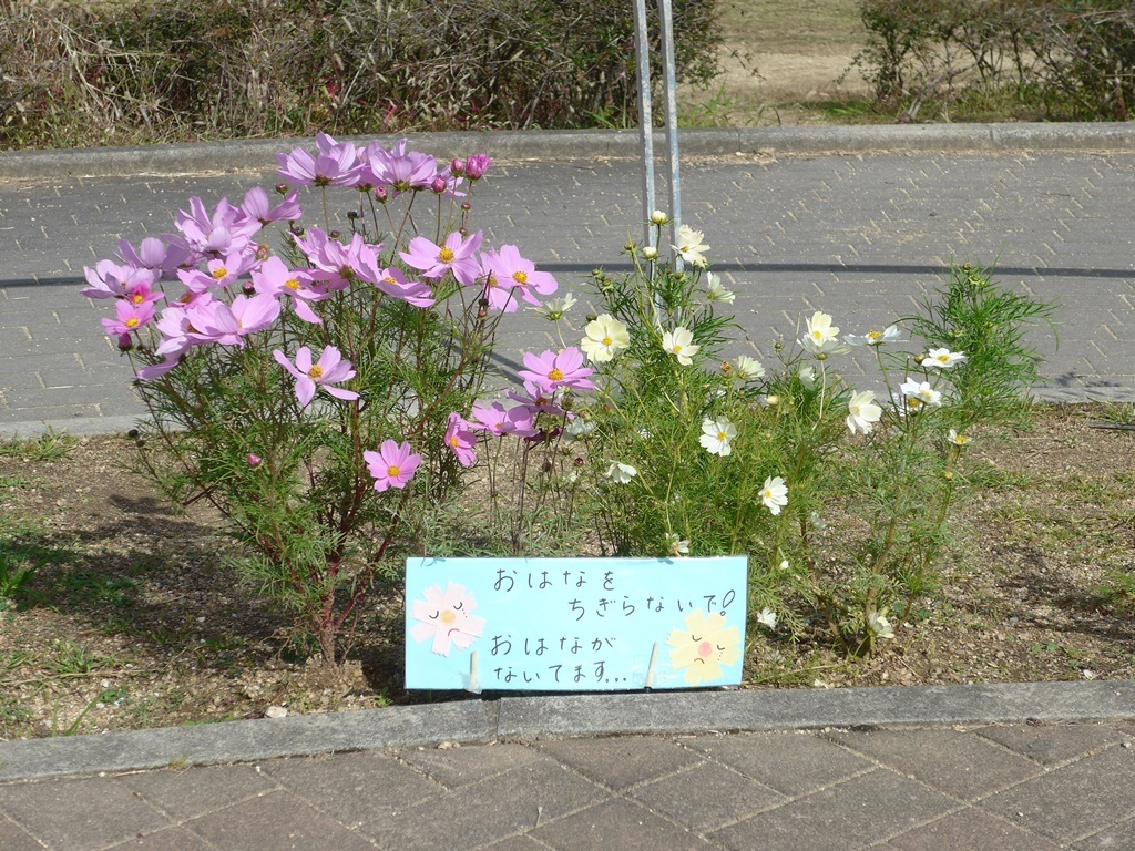 P1400884