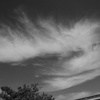 DSCF5467