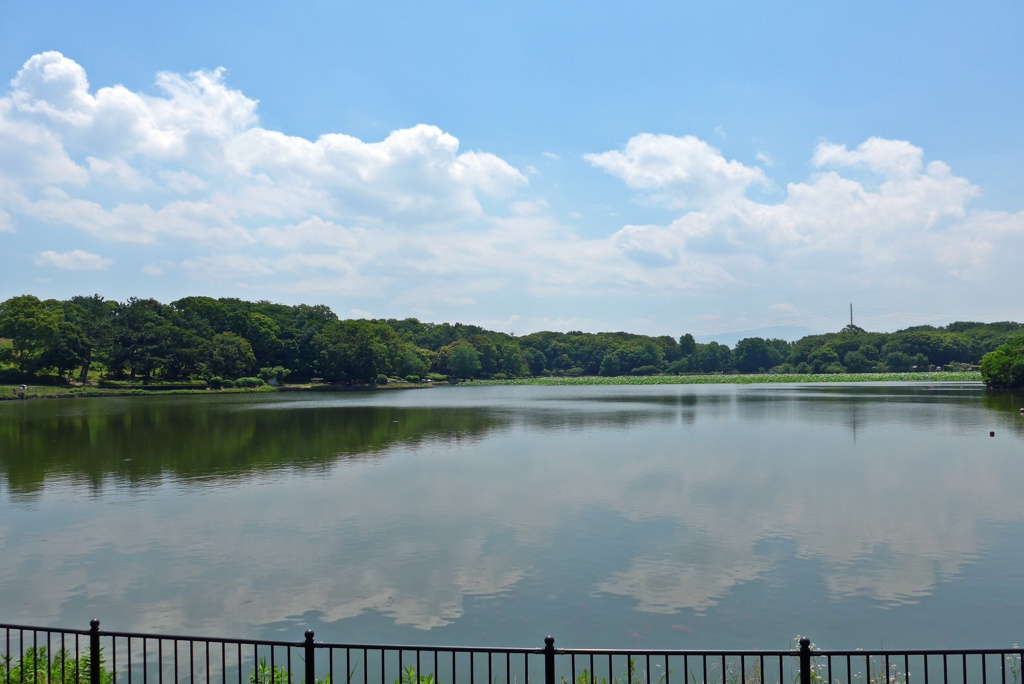 P1390012
