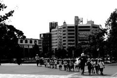 P1050104