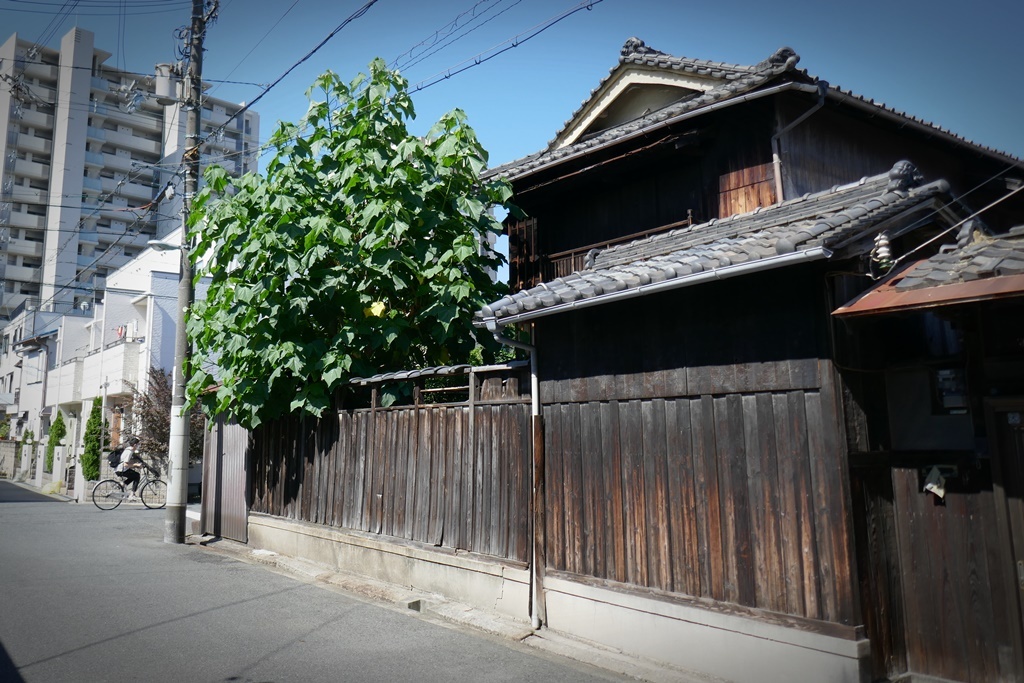 P1230910