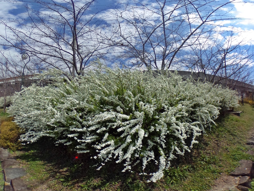 R0011040