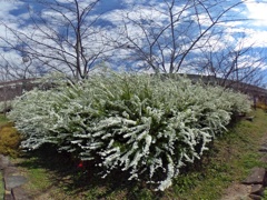 R0011040