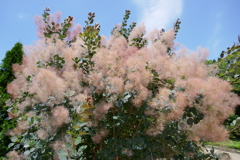 P1010358