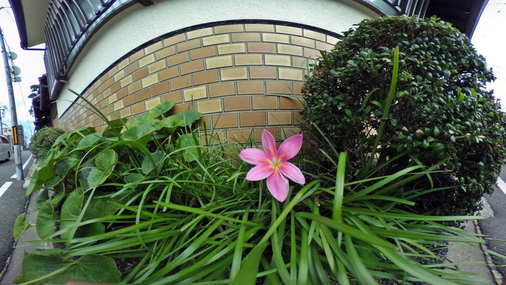 R0010057