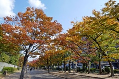 P1060396