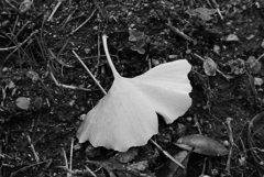 P1400649